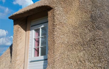 Blandy thatch roof disadvantages